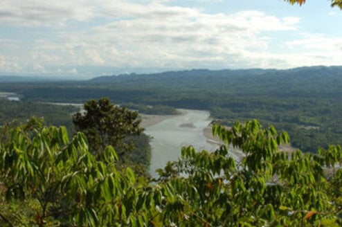 Bamboo - Volunteer Abroad Programs in Peru Thumbnail
