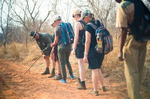 Wildlife Conservation in Victoria Falls with IVHQ