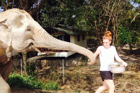 Elephant Care, Thailand Thumbnail