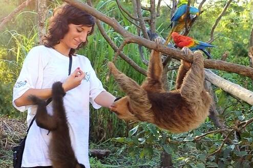 A woman helping a monkey in Peru
