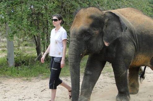 Oceans 2 Earth Thai Wildlife Volunteer Project