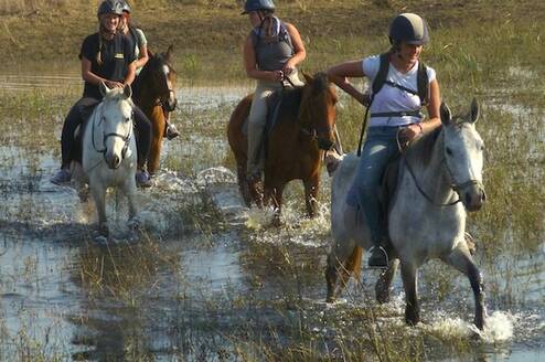 Horse Riding volunteers