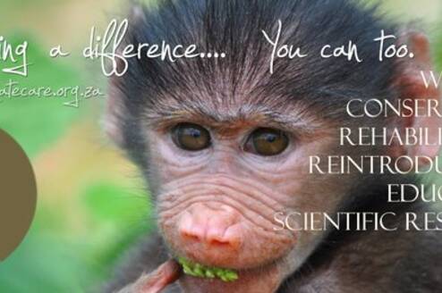 primate veterinarian near me