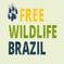 FreeWildlifeBrazil Celine logo