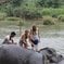 Pinnawala Elephant Orphanage