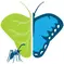 Monteverde Butterfly Garden