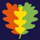 The Cambridge Red Oak Kindergarten oak leaves logo (copyrighted)