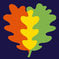 The Cambridge Red Oak Kindergarten oak leaves logo (copyrighted)