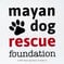 The Mayan Dog Rescue Foundation