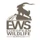 European Wildlife Services. Veterinarian Services