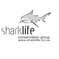 Sharklilfe Logo
