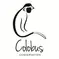 the logo has the organization name ans a drawn photo of a colobus monkey