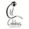 the logo has the organization name ans a drawn photo of a colobus monkey