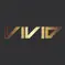 Vivid Snowboarding School 