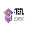 THE TEFL EXPERT