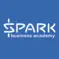 SPARK Business Academy
