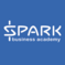 SPARK Business Academy