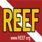 REEF.org
