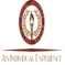 An Individual Experience