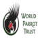 WPT