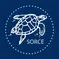 Our SORCE Turtle Logo