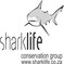 Sharklife Conservation Group