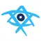 Birthright Israel Logo