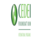 Centers for Interamerican Studies - CEDEI