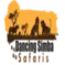 Dancing Simba Safaris