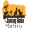 Dancing Simba Safaris