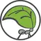 A leafcutter ant