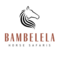 Bambelela Horse Safaris