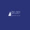 company logo it says Deldey 'Bridging the gap' 