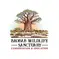 Stylized baobab tree set in a savanna landscape, with the words 'Education and Conservation' written underneath.