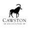 Cawston Encounters Logo of a sable antelope bull walking