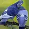 Friendly In uniossom   Doves