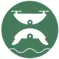 DELT Logo: silhouette a drone on top of a sea turtle in white, on a green background