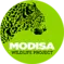 Modisa Wildlife Project