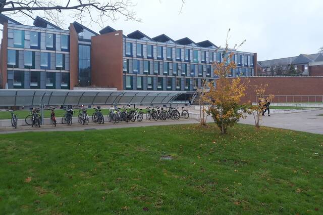 University of Sussex