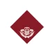 Provider Logo Thumbnail