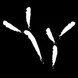 Provider Logo Thumbnail