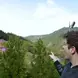 andrew