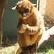 Animal Care Center