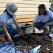 Samantha and another woman do manual labor