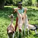 Psalms is smiling while feeding four goats