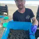 Alyn Spector with turtles