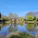 Lake under a blue sky