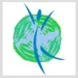 International Programs Thumbnail