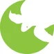 SEE Turtles Thumbnail