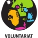 Voluntariat Slovenia Logo Thumbnail